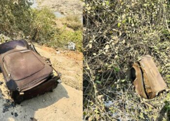 पेणममध्ये पुन्हा एकदा शीना बोरासारखे हत्याकांड?