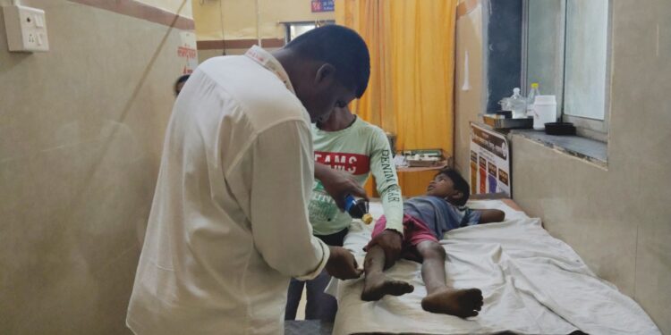 उरण तालुक्यात कुत्र्यांची दहशत