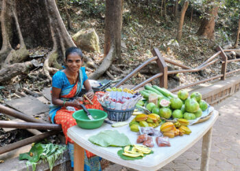 माथेरान पर्यटन बचाव समिती आदिवासींच्या मुळावर