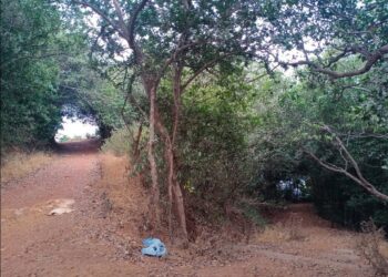 राजकारण्यांची दुटप्पी भूमिका घातक