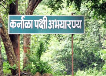 कर्नाळा अभयारण्यात पर्यटकांची वाढती गर्दी