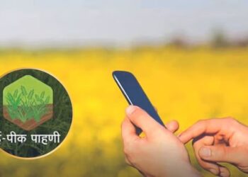 शेतकर्‍यांनी ई-पीक पाहणी पूर्ण करावी