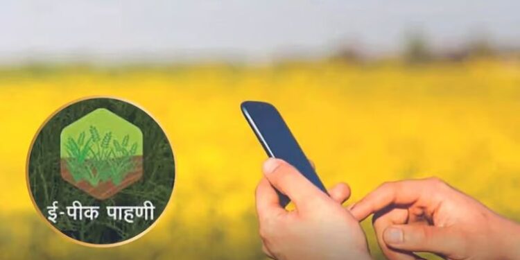 शेतकर्यांनी ई-पीक पाहणी पूर्ण करावी