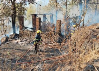 रानबाजिरे येथे वणव्यामुळे गुरांचा गोठा खाक; चार गुरे दगावली