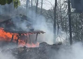 निगडोली येथे गुरांचा गोठा जळून खाक