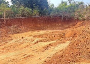 मातीतस्करांनी भीमाशंकर अभयारण्य पोखरले