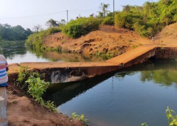 पुगाव पुई आदिवासीवाडीकडे जाणारा पूल कोसळला