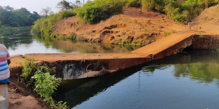 पुगाव पुई आदिवासीवाडीकडे जाणारा पूल कोसळला