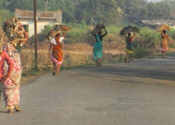 सुक्या लाकडांचा कुटुंबाला आधार