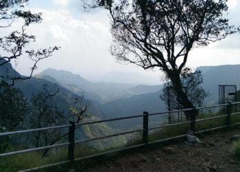 माथेरानमध्ये वाढला रात्रीचा गारवा