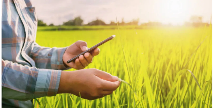 शेतकर्यांनी ई-पीक पाहणी करुन घ्यावी