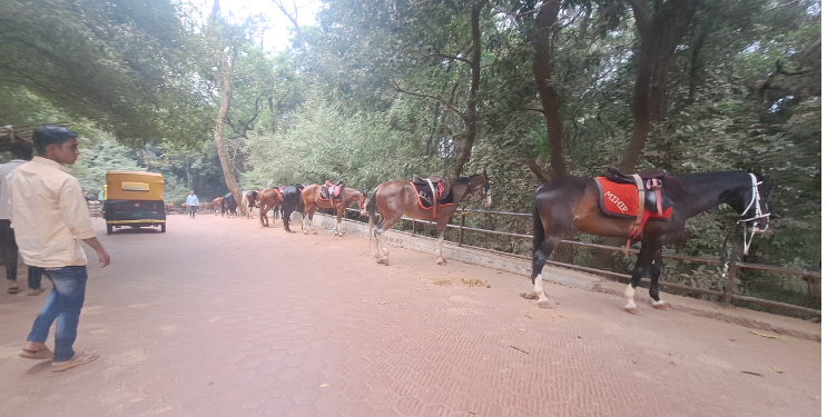 माथेरानला आर्थिक मंदीचा फटका