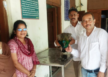 प्राणीमित्राकडून जखमी मोराला जीवदान