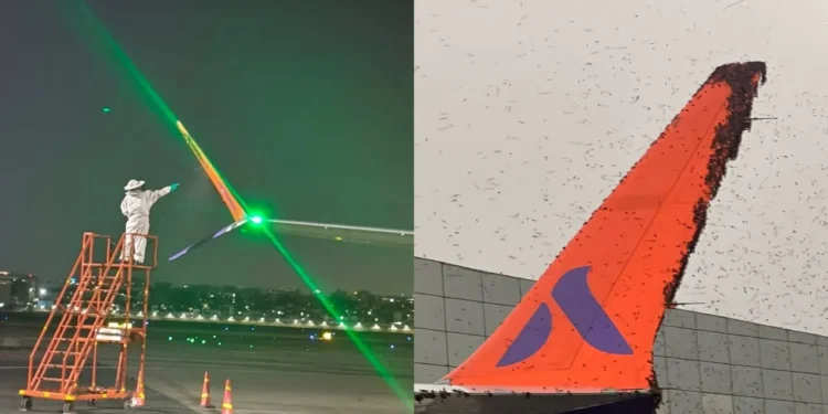 मुंबईहून दिल्लीला जाणाऱ्या विमानावर मधमाश्यांचा हल्ला