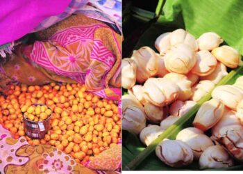 पनवेल बाजारपेठेत रानमेवा विक्रीला