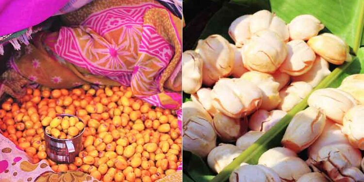 पनवेल बाजारपेठेत रानमेवा विक्रीला