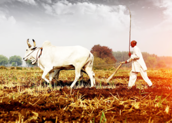 बळीराजा आर्थिक संकटात