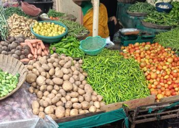 पावसामुळे महागला भाजीपाला