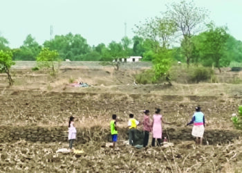 मान्सून पूर्व मशागतीची लगबग