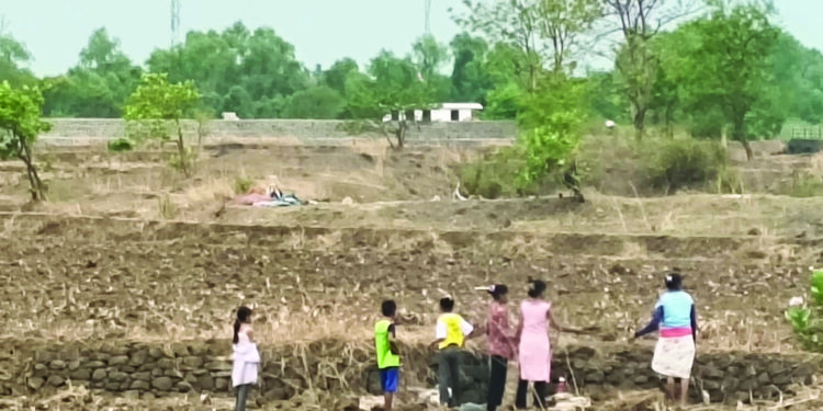 मान्सून पूर्व मशागतीची लगबग