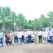 महाडमध्ये गांजाची शेती पोलिसांकडून उद्ध्व‌स्त