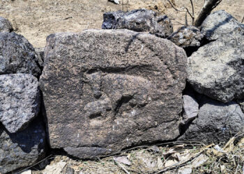 कर्जतमध्ये सापडला दुर्मिळ शिलालेख