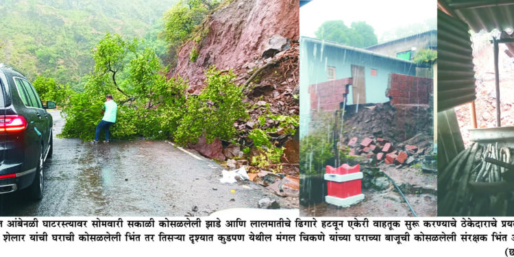 पोलादपूर तालुक्याला पावसाने झोडपले