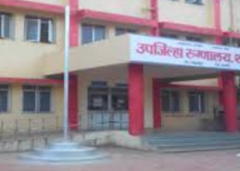 सर्पदंशग्रस्त मुलाचा उपचाराअभावी मृत्यू