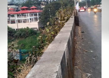 श्रीराम पुलावरील झाडे तोडण्याची मागणी