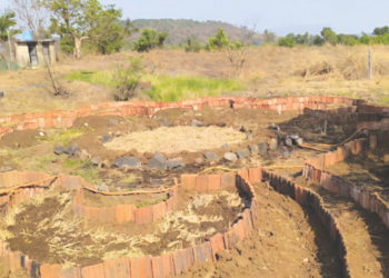 पालीत मंडळा शेतीचा एक अनोखा प्रयोग