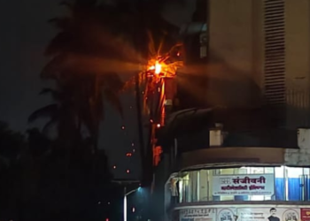 नेरळमधील झाडावर वीज कोसळली