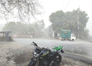 नेरळ-माथेरान घाटरस्त्यात धुक्याची दुलई