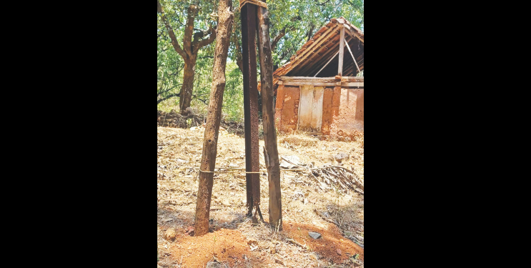 सडलेल्या वीज खांबाला लाकडाचा आधार