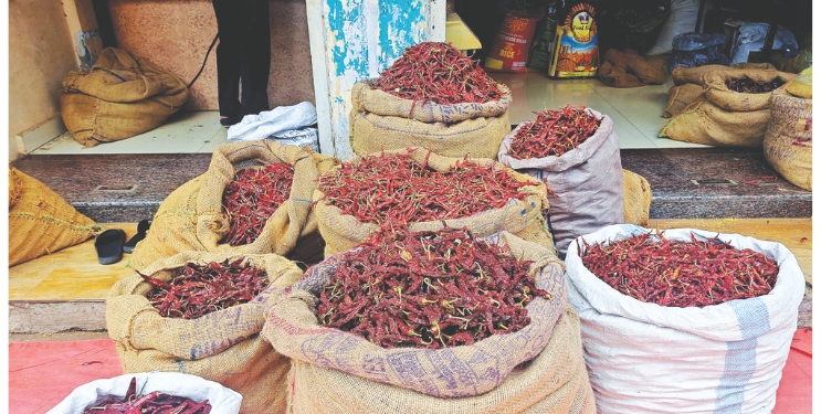 कर्जतच्या मिरचीला महिलांची पसंती