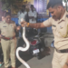 विषारी नागाचा चिमुकल्यांना वेढा