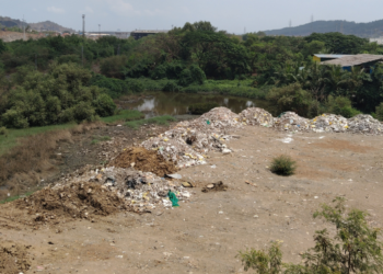 उरणमधील खारफुटीसह जैवविविधता धोक्यात