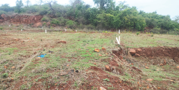 अवकाळी पावसामुळे बागायतदारांचे नुकसान