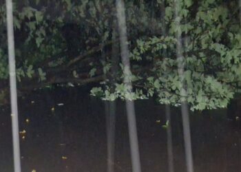 बेलघर येथे झाड कोसळून वाहतूक ठप्प