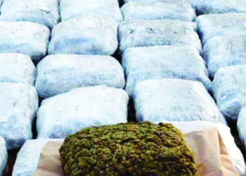 सहा कोटींचा ड्रग्जसाठा जप्त