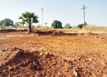 माती तस्करांनी गुडवण डोंगरही पोखरला