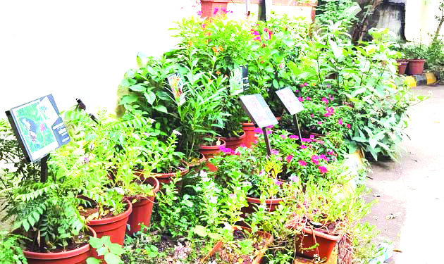 खारघर पोलिसांचा लोकाभिमुख कारभार