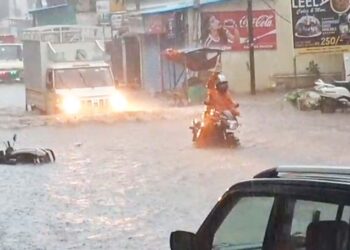 नालेसफाई घोटाळ्याचे पितळ उघडे