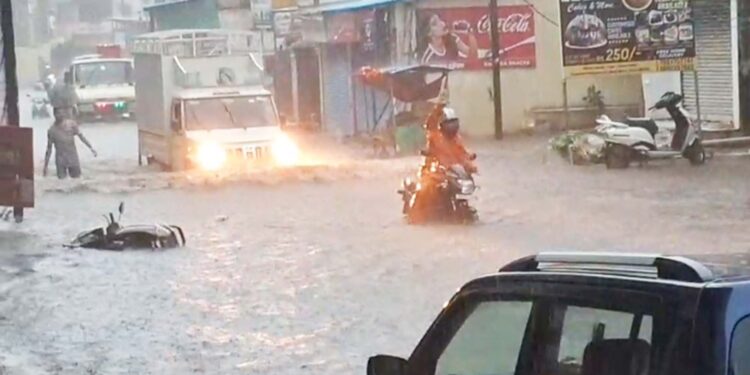 नालेसफाई घोटाळ्याचे पितळ उघडे