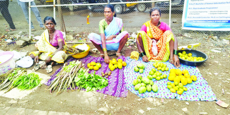 रानभाज्या खवय्यांसाठी पर्वणी