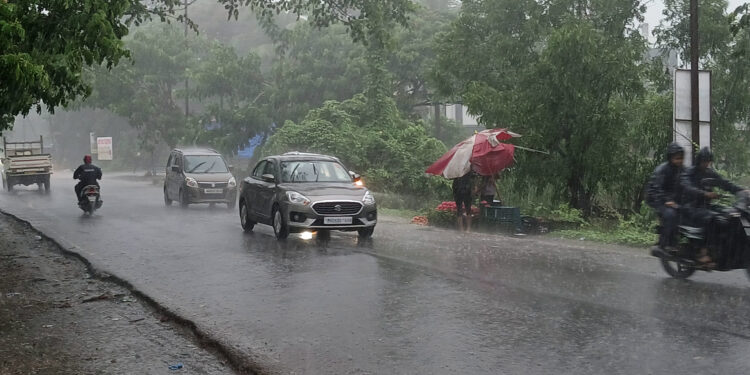 रायगडात पावसाचं थैमान