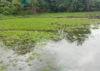 शेतकऱ्यांवर शेती ओसाड ठेवण्याची नामुष्की