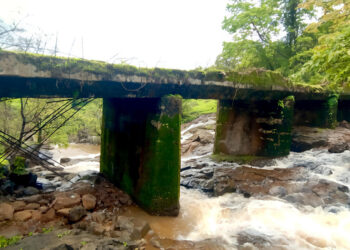 पडसरे ग्रामस्थांचा जीवघेणा प्रवास