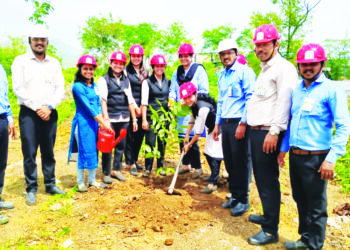 पर्यावरणाच्या रक्षणार्थ वृक्षारोपण आवश्यक: किरण हिंगणे