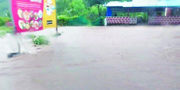 मुंबई-गोवा महामार्गाला तलावाचे रुप