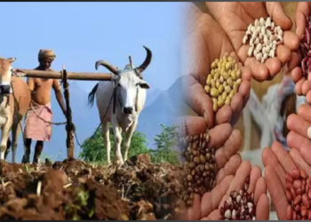 शेतकऱ्यांची फसवणूक महागात पडणार